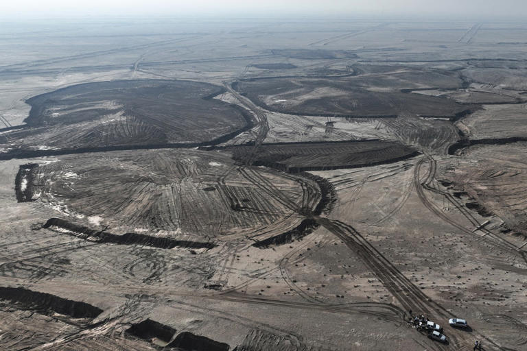 Massive funds needed to stop land around world becoming dust, UN warns
