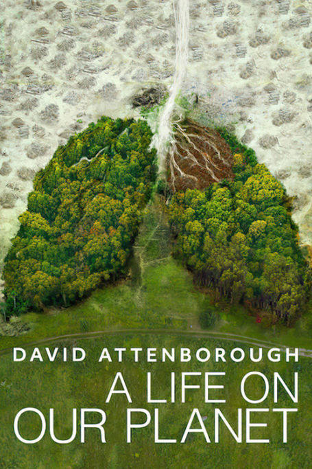 Best David Attenborough documentaries to stream on his 100th birthday