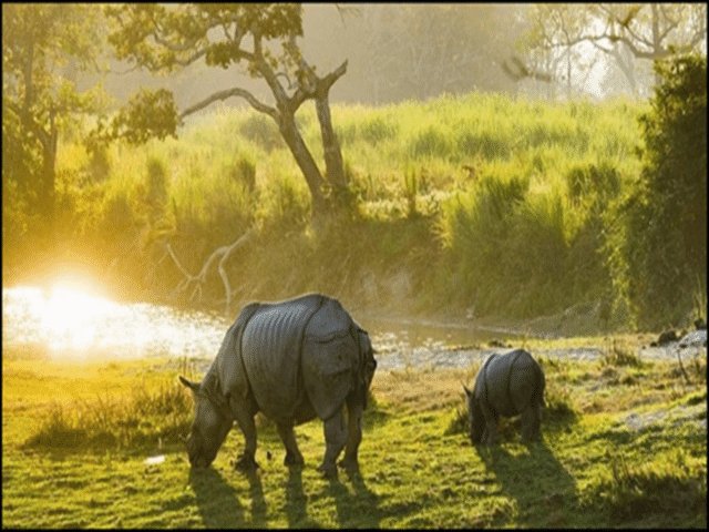 Assam tourist places: Planning a trip to Assam? You must visit these 5 ...