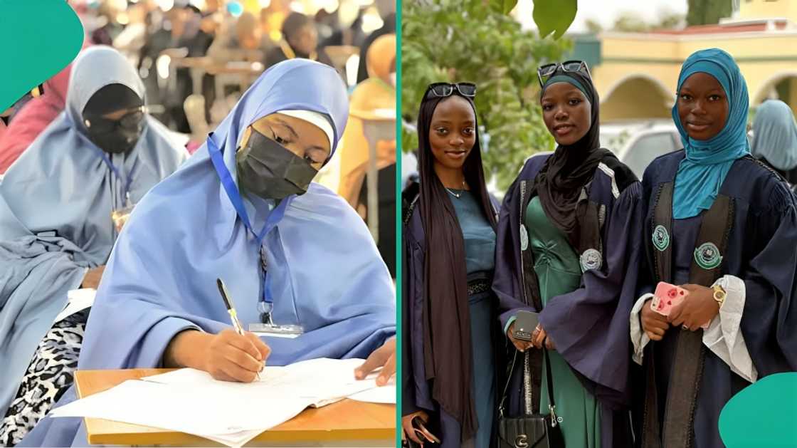 Law, medicine: Al-Hikmah University reveals 2025/2026 courses available ...