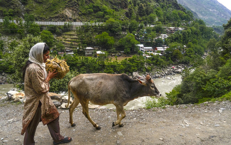 Sentinels of Simari: One year after Sindoor, villagers try to reclaim ...