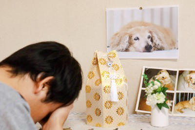 ペットロスの人に絶対言ってはいけない『NGワード』5選 愛犬を亡くした人にすべき配慮とは？
