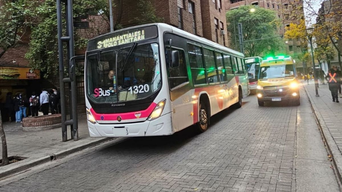 Un colectivo atropelló a una mujer en el centro de Córdoba: "Gritos ...