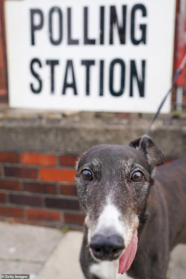It's dogs at polling stations! Pictures of voters taking their four ...