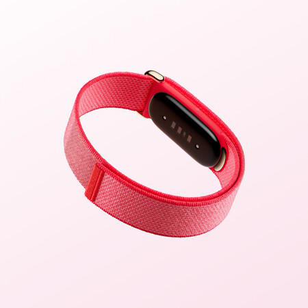 Google cambia Fitbit para siempre: ahora quiere que su app de salud sea ...