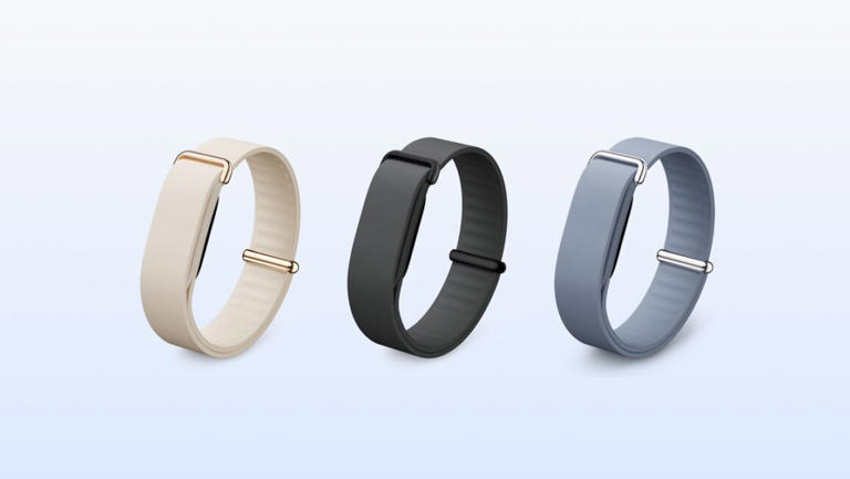 Google Fitbit Air colors