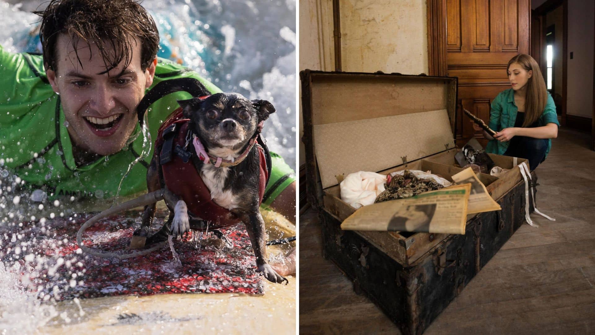 The secretive jobs behind the everyday lives of the ultra-rich