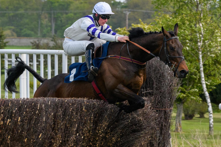 Winning double for North Yorkshire racehorse trainer Micky Hammond at Kelso