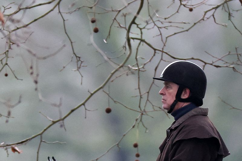 UK police arrest man for allegedly threatening former Prince Andrew ...