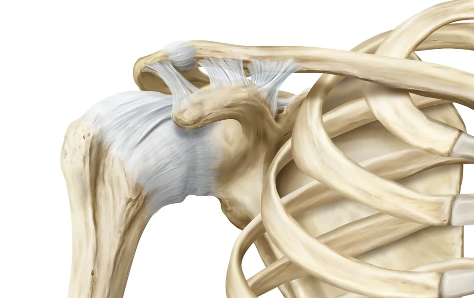 Experts highlight exercise as key to preserving shoulder health