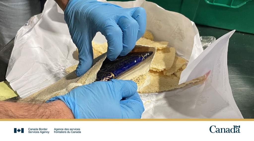 Nearly 250 kg of suspected cocaine hidden in flatbread stopped at ...