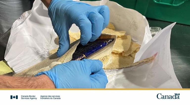 Nearly 250 kg of suspected cocaine hidden in flatbread stopped at ...