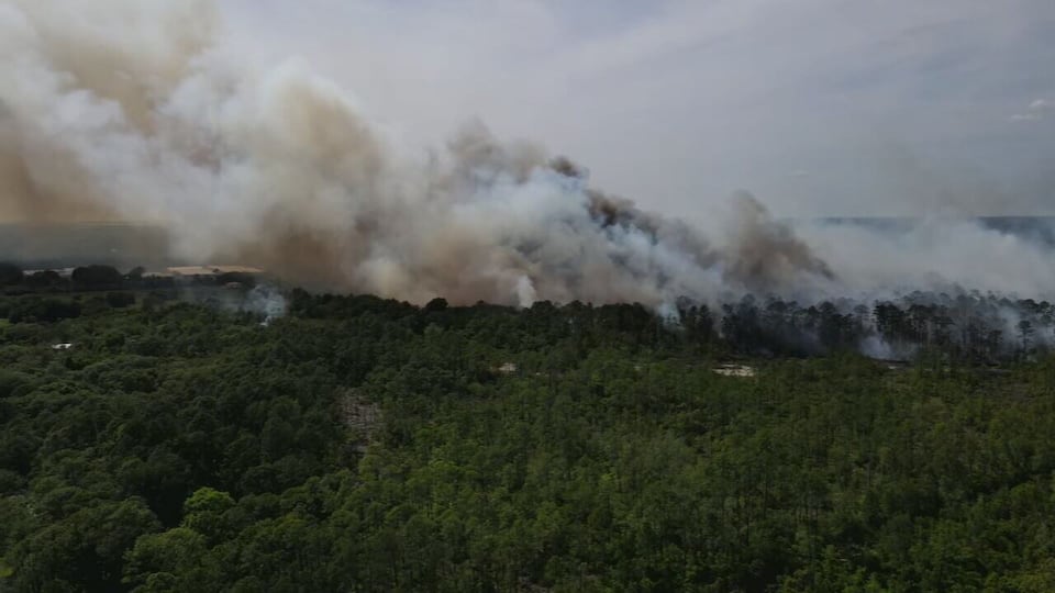 Massive Florida wildfires torch more than 120,000 acres ahead of peak ...