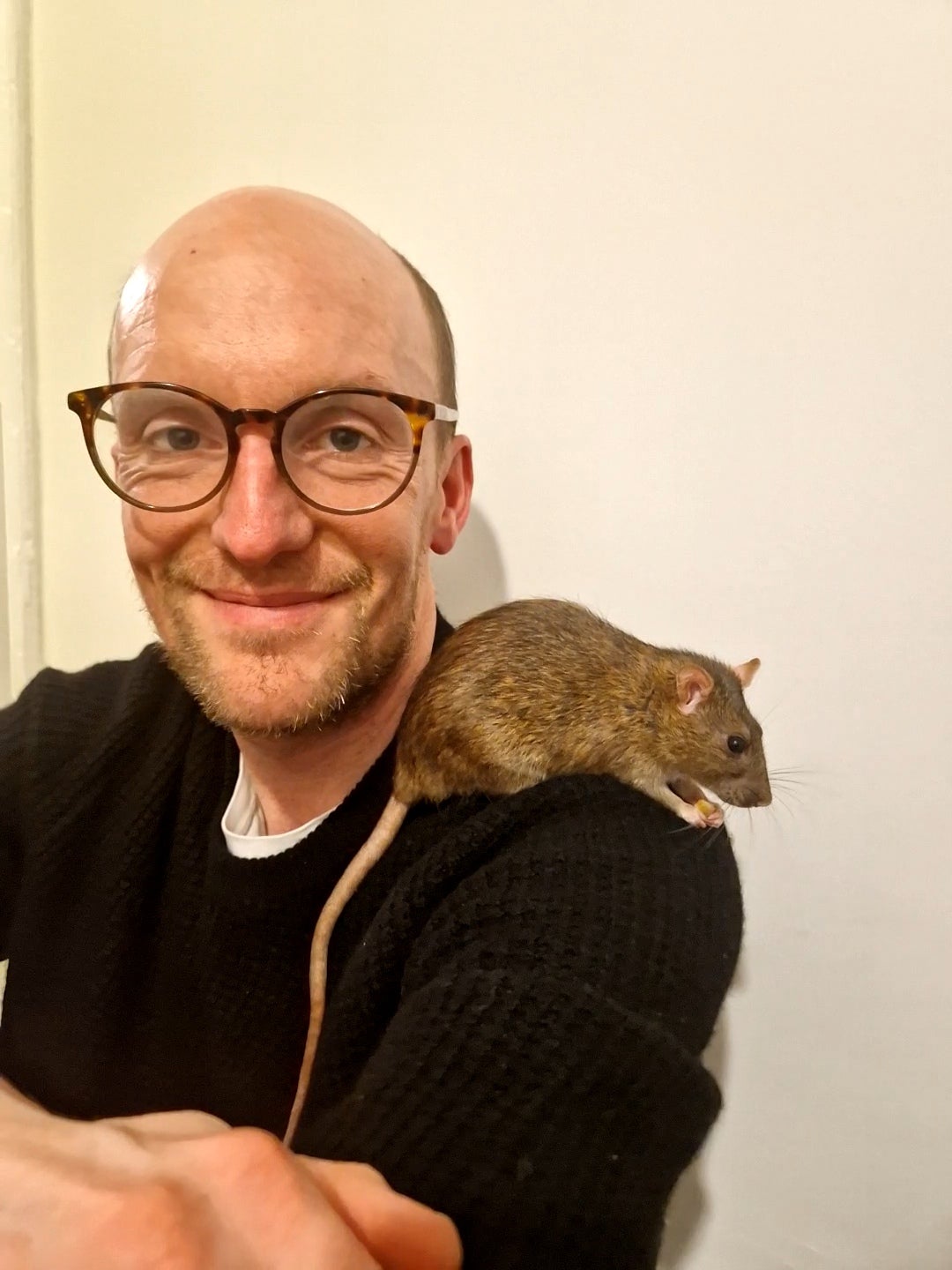 Voices: Rats don’t deserve to be public enemy number one