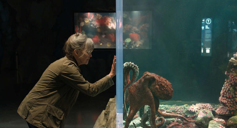 Sally Field, left, as Tova makes a connection with giant Pacific octopus Marcellus, voiced by Alfred Molina, in "Remarkably Bright Creatures." (Netflix)