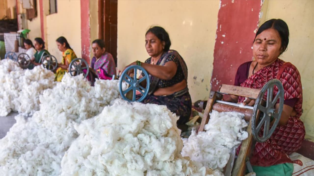 India's cotton import duty eroding textile competitiveness: CITI study