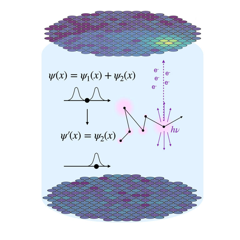 Testing quantum collapse theory with the XENONnT dark matter detector