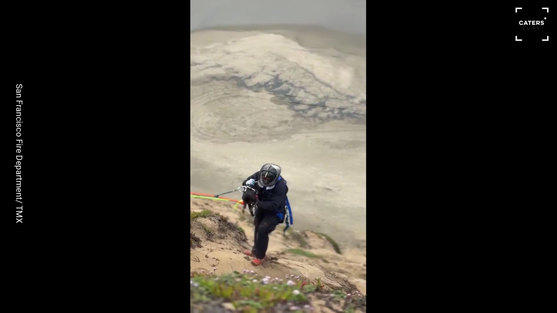 Dog rescued from steep California cliff in amazing emergency rescue