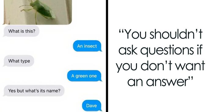 41 wild internet posts that are pure chaos energy