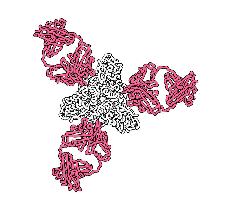 Scientists take crucial step in developing world's first measles treatment