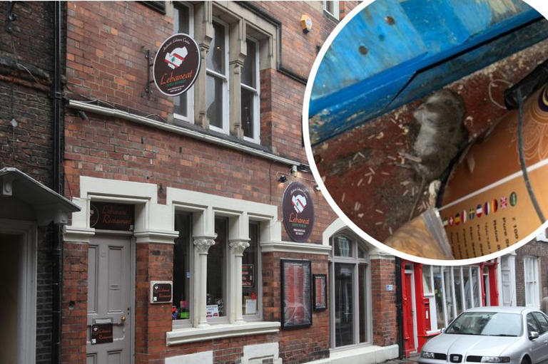 Restaurant bosses fined £16,000 after dead rat found on North East premises