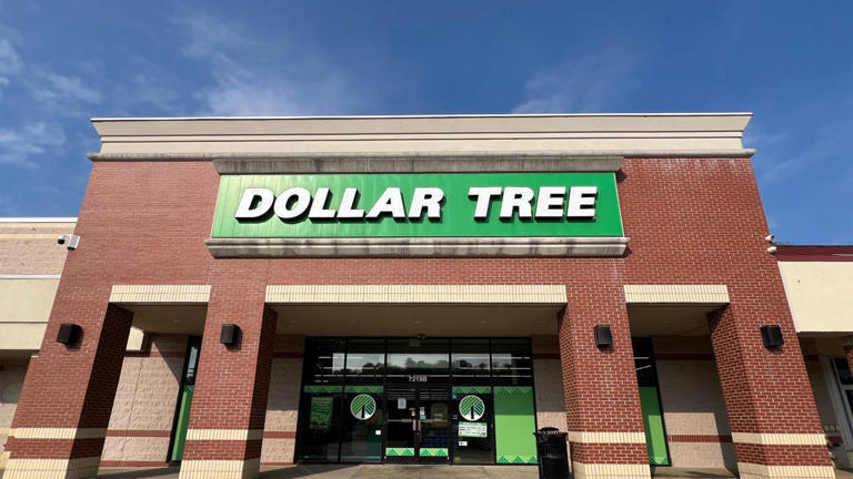 Dollar Tree just dropped the chicest beveled mirrors for $1.25
