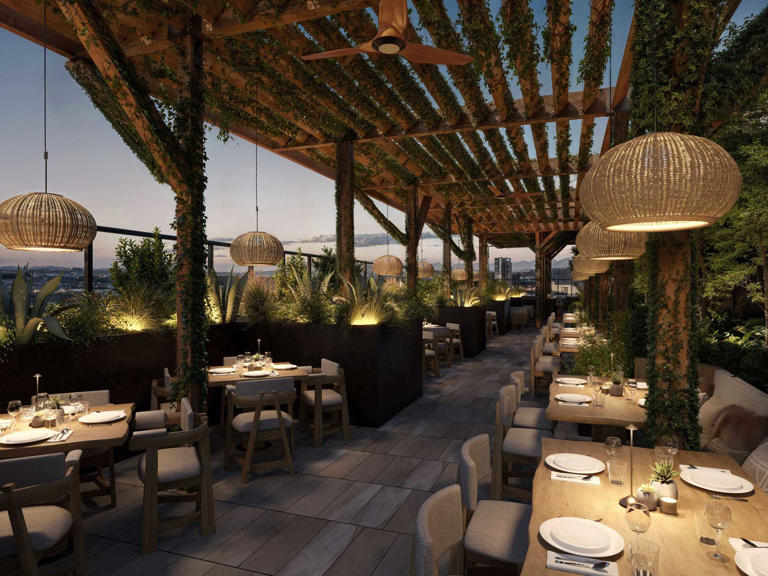 Nature-inspired hotel opens reservations in Austin's tallest tower
