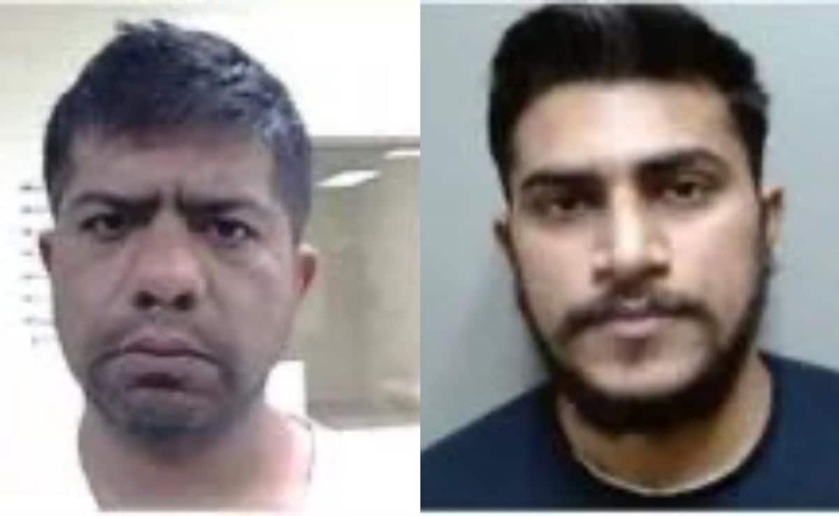 ICE arrests two Indians for attempted lewd act on child, $60,000 theft case