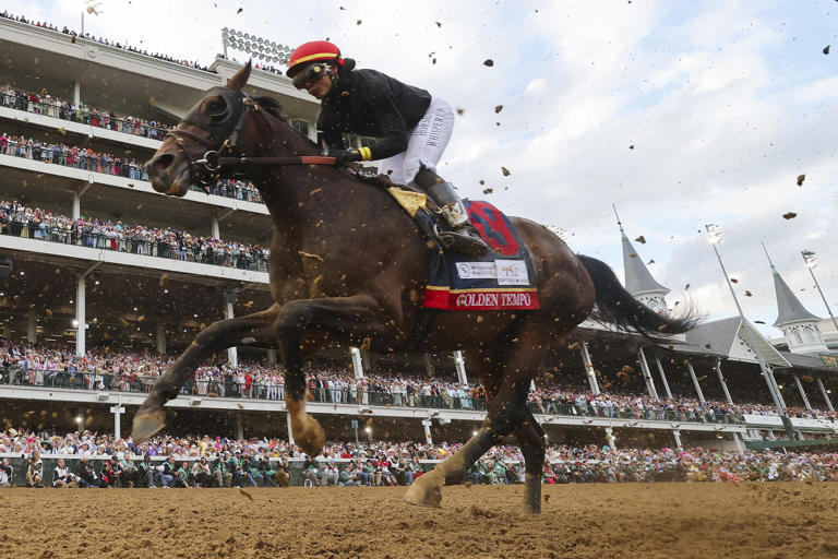 Why is Kentucky Derby winner Golden Tempo not running in the Preakness ...
