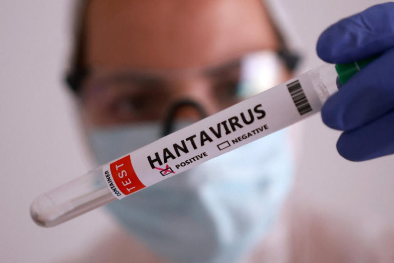 Could deadly hantavirus become the next global pandemic?