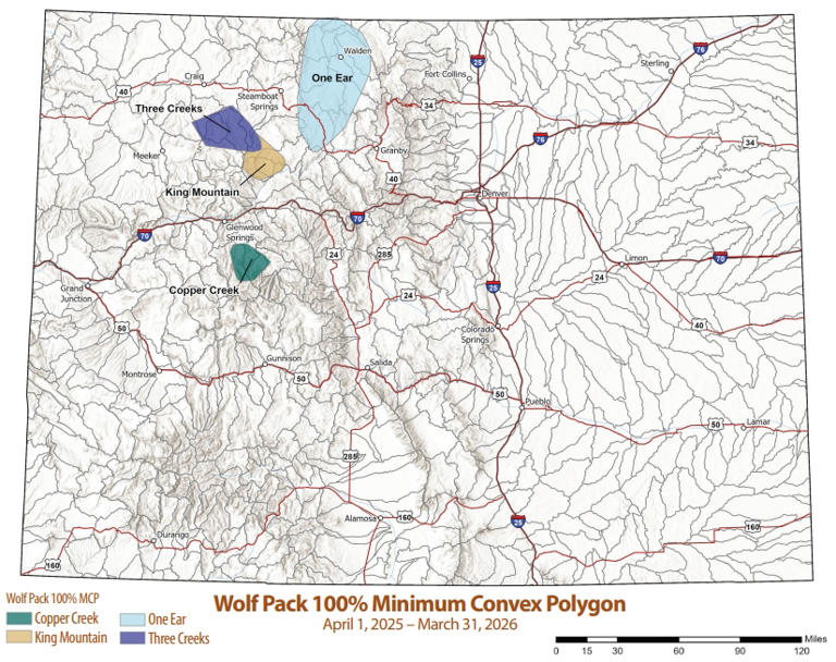 Colorado wolves were in several areas near Denver metro cities this ...