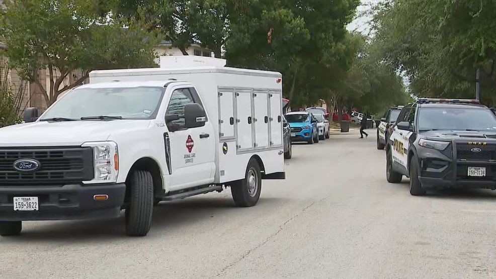 Elderly woman hospitalized after pit bull attack in Northwest Side ...