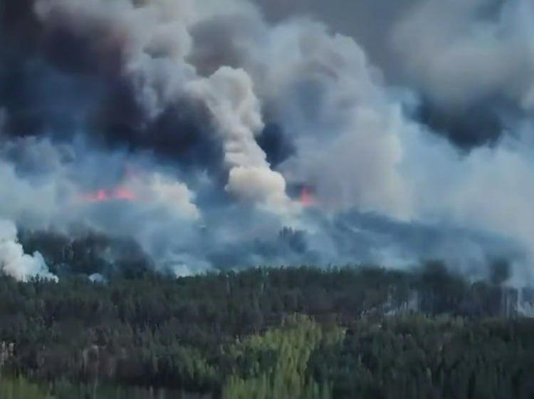 'Emergency situation' — Massive forest fire burns near Ukraine's border ...