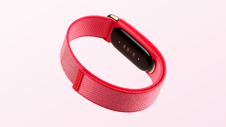 Google Fitbit Air colors