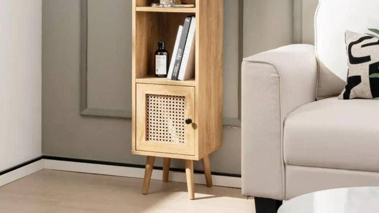 Target is selling a $280 rattan storage cabinet that holds a lot for $60