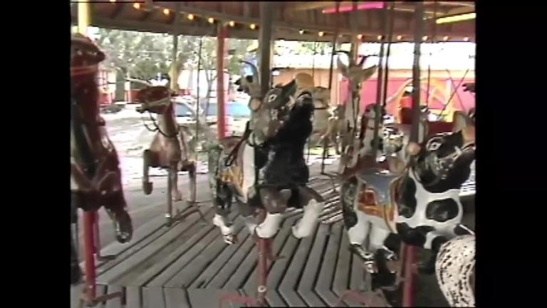 Video vault: The story of the Gage Park carousel