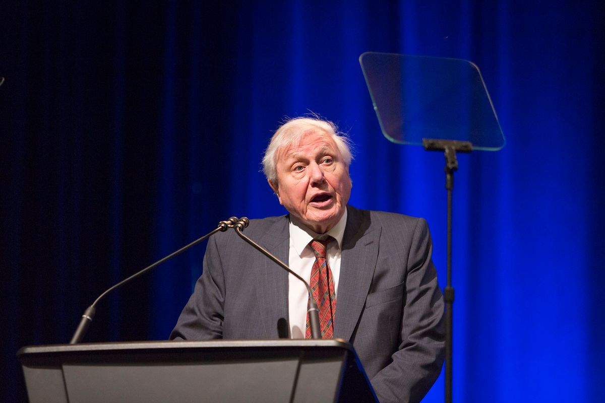 David Attenborough turns 100 this week - here's why he's become even ...