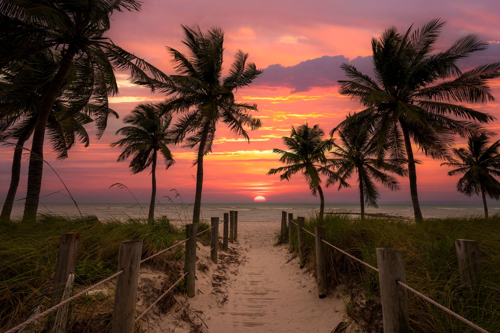Palm tree lined beach path leading towards the ocean with a vibrant sunset