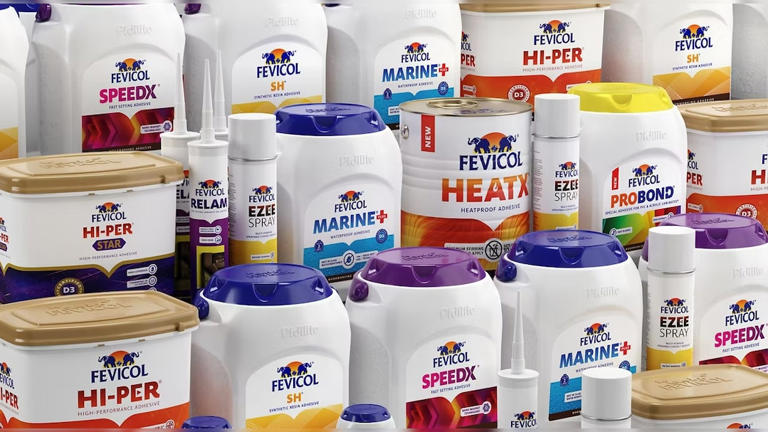 Pidilite Industries Q4 result: Net profit surges 37%, announces dividend