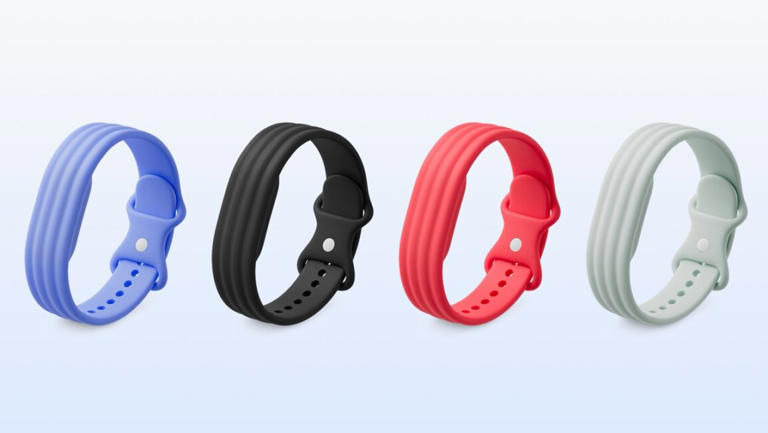 Google Fitbit Air colors