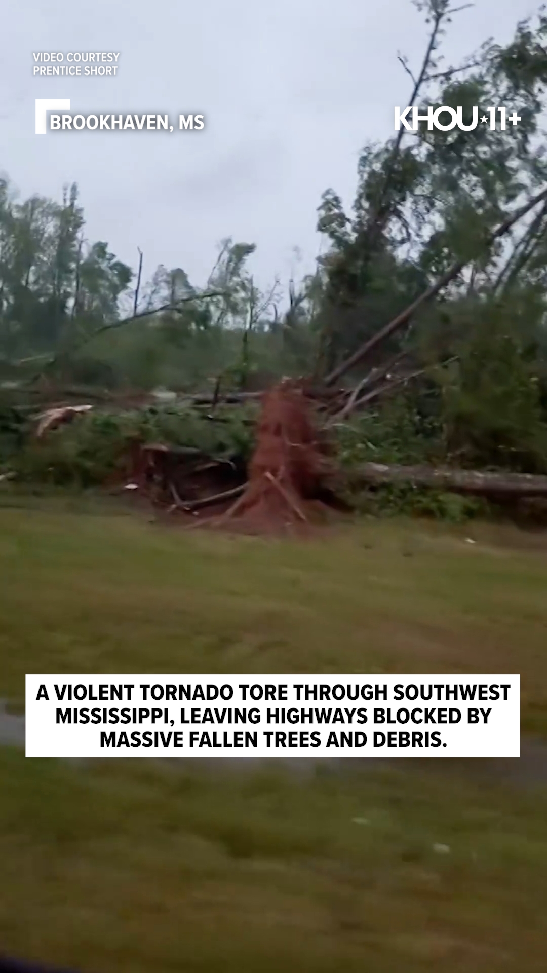 Trees block Mississippi highway after violent tornado tears through