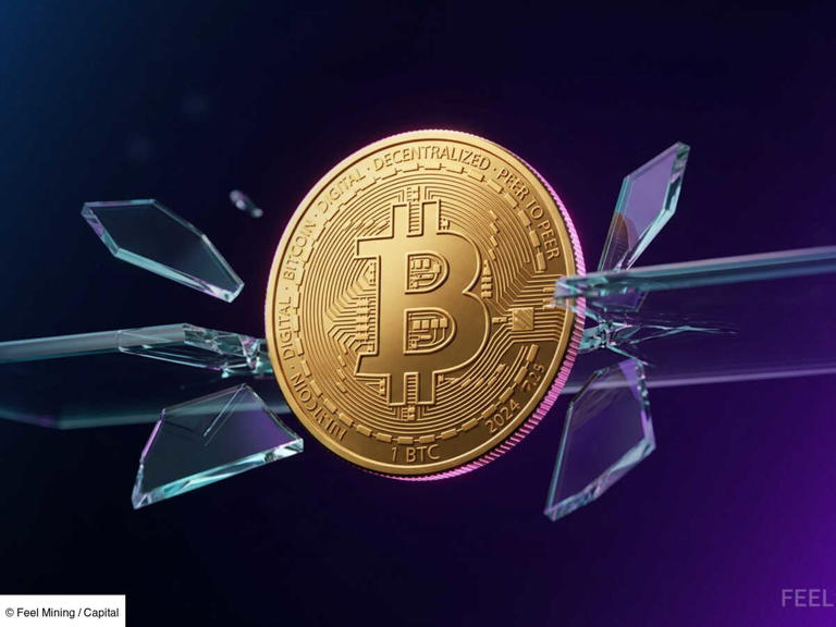 Crypto : « le Bitcoin peut-il encore atteindre 100 000 dollars dans les ...