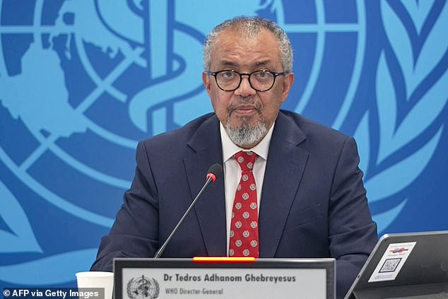 WHO chief warns there could be more hantavirus cases around the world