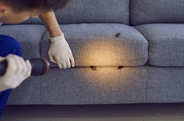 Homeowners urged to be aware of £2k critter warning - act before Saturday