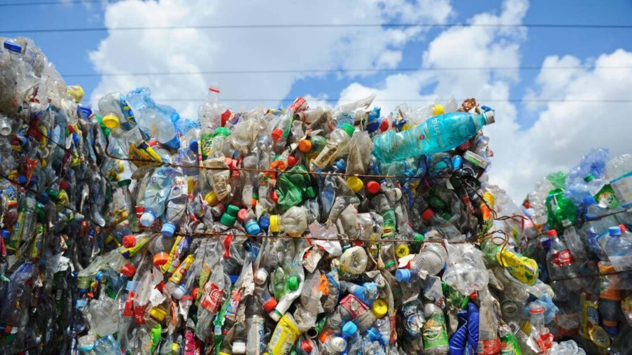 O impacto do plástico no meio ambiente e as soluções simples que ajudam ...