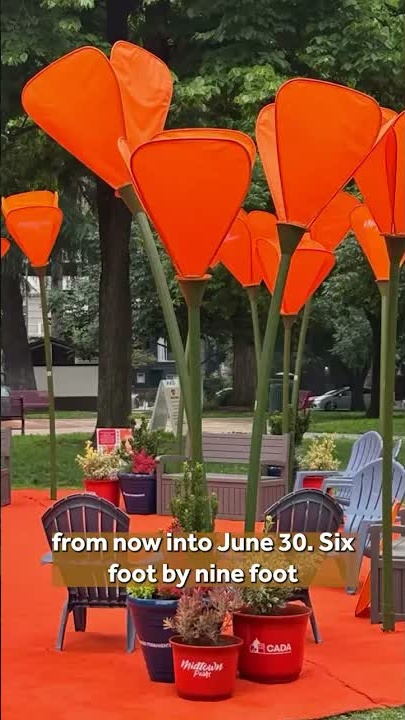 Fremont Park's poppy art display