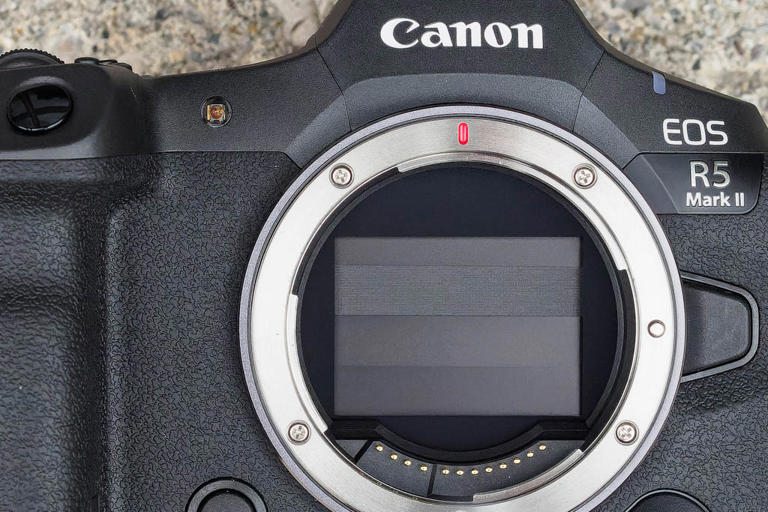 This award winning full-frame camera is 'top of the class' – get it ...