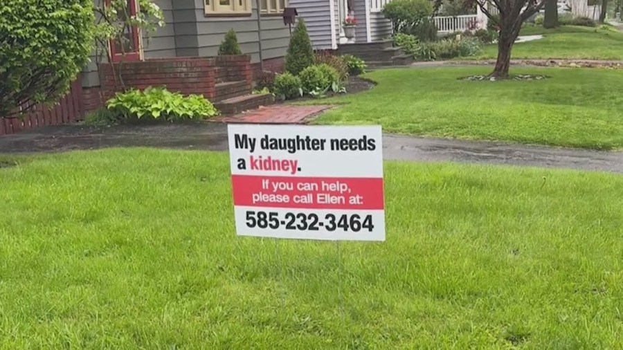 Family gets creative with lawn signs to find a kidney donor