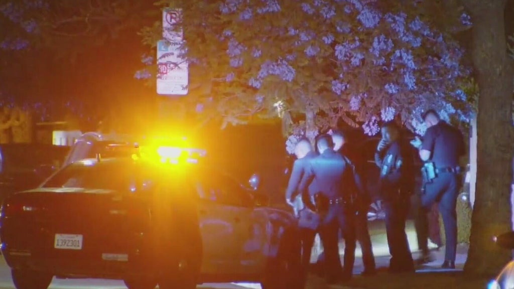 Serial Los Angeles burglary suspect connected to 25 burglaries ...