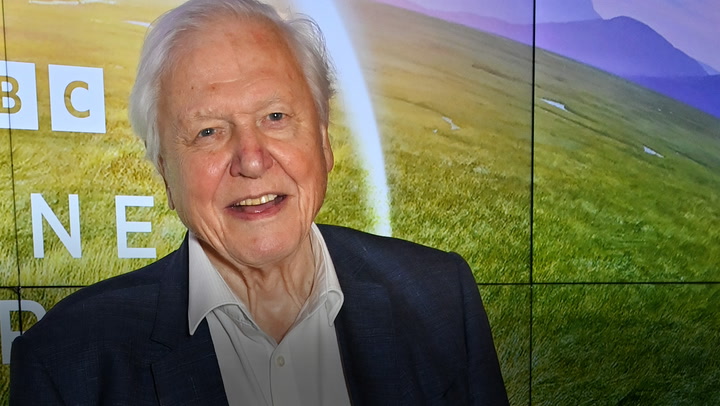Watch: Look back on Sir David Attenborough's life